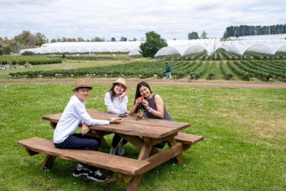 Where Can You Find The Best Farm To Table Travel Experiences